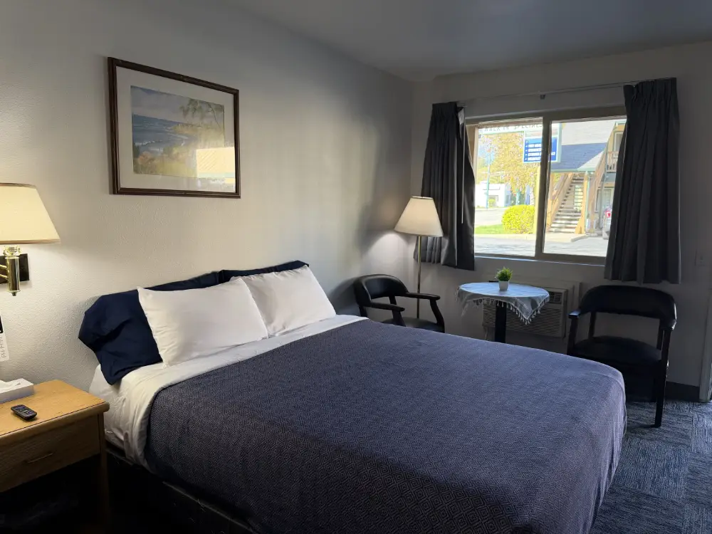 Standard Queen room at Budget Saver Motel